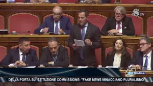 Della Porta su istituzione commissione: "Fake news minacciano pluralismo"