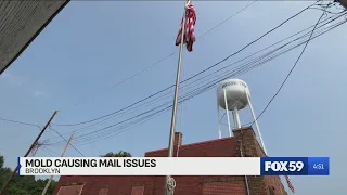 Call Rafael: Mold causing mail issues