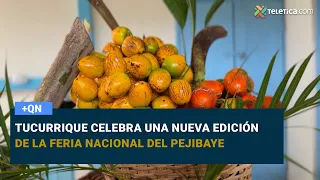 Tucurrique celebrates a new edition of the National Pejibaye Fair