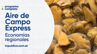 Regional economies monitored by Senasa, promoted by INTA - Aire De Campo Express