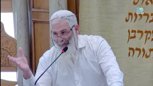 המנורה והשמן | פרשת תצוה | הרב רן בן משה