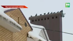 Семь ЧП за выходные: в Татарстане новая волна «крышепада»