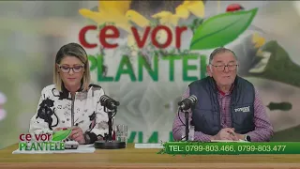 Ingrijirea dafinului Cristina Ghibu si Horia Ghibu