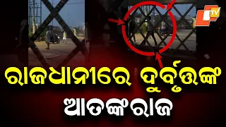 Kalinga Vihar Crime: Miscreants Brandish Swords, Knives; Tamando Police Take Action