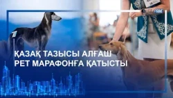 ҚАЗАҚ ТАЗЫСЫ АЛҒАШ РЕТ МАРАФОНҒА ҚАТЫСТЫ