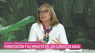 Impacto de la forestación en los cursos de agua