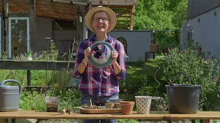 Gardening without PLASTIC | "Gabi's Garden" with Gabi Pratz