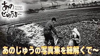 Ano-Jyu #207: Unveiling a Photo Collection of the Kinokawa River Area