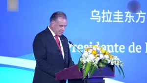 Gastón Scayola, Presidente de INAC 