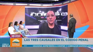 Experts present arguments regarding the three exceptions in the Penal Code