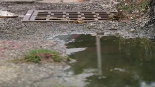 Milwaukee man urges neighbors to check storm drains after rainy weekend