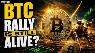 Crypto Market Pulse: BTC Rally Is Still Alive? । Top News of The Day। Powered by CoinSwitch