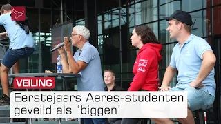 Dit jaar vierhonderd biggen op jaarlijkse biggenmarkt Dronten