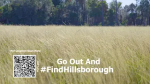 #FindHIllsborough - Moriczville Area