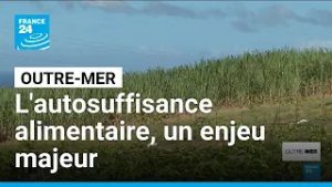 L'autosuffisance alimentaire, un enjeu majeur pour les Outre-mer • FRANCE 24