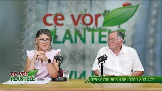 WHAT PLANTS WANT CHRISTINA GHIBU 08/10/2026 P1