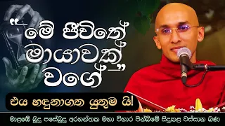 මේ ජීවිතය මායාවක් වගේ | බුදු පසේබුදු අරහන්තක මහා විහාරය - මාළඹේ | Ven. Ankubure Amithadeepa Thero
