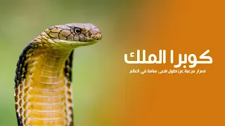 King Cobra: Terrifying Secrets of the World's Longest Venomous Snake | Quest Arabiya