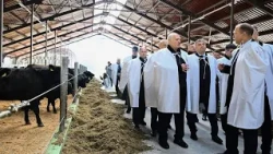 ⚡️ Lukashenko on the northern part of Vitebsk Region: people here need to live well