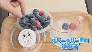 RNC news every. [Chugoku-Shikoku Seasonal Pick] Seasonal Blueberries in Kanonji - Aired 07/03/2026