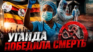 WHO declares country Ebola-free
