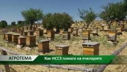 Агротема: Димитър Ванев, дир. на Дирекция "Анализиране, планиране и инф. осигуряване", НССЗ