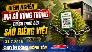 Growing Area Code Bottlenecks: Challenges for Vietnamese Durian | East-West Movements 07/31/2026