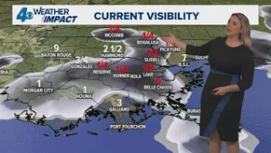 Weather Impact Alert: Morning fog, warm and beautiful weekend