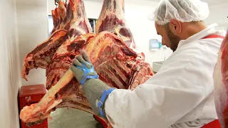 TVS: Po moravsky - Biohovězí i kvalitní čokoláda