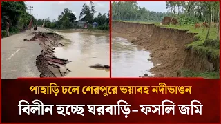 Devastating River Erosion in Sherpur Due to Mountain Runoff, Homes and Farmland Swept Away | Mytv