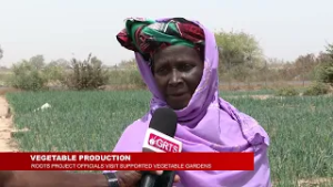 ОВОЩНОЕ ПРОИЗВОДСТВО