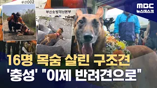 "Chung-sung," who saved 16 lives, is now retiring (07/01/2026/Newsdesk/MBC)