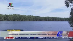 Marine protection! Efforts to strengthen mangroves and responsible fishing in the Atlantic