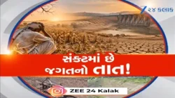 Saurashtraમાં ઓછા વરસાદે વધારી ચિંતા! કુદરતના કોપ સામે ખેડૂત થયો લાચાર,  જળાશયો ખાલી, તાતને મુશ્કેલી