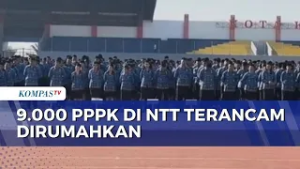 9 Ribu PPPK Pemprov NTT Terancam Dirumahkan Imbas Pembatasan Belanja Pegawai