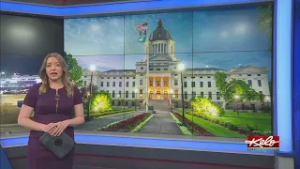 Bill: 6 countries can't own electrical systems in SD