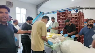 Inside the Roti Plant at Jalsa | Agha Abdul Karim Abid Explains the Roti Production Process