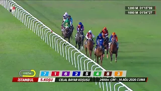 Celal Bayar Koşusu (Grup - 2) 14/08/2026