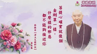 【法水長流45】淨空法師：【菩提心確實就像個金剛罩一樣，什麼樣的邪惡都不能夠接近你。】