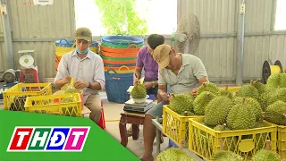 Standardizing Products and Grower Efforts | Agricultural Extension - 07/28/2026 | THDT