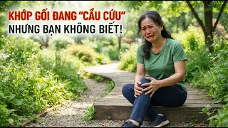 Your Knee Is "Crying for Help" Without You Knowing It! | Can Tho
