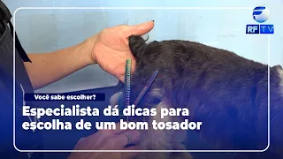 Pet Grooming: Much More Than Just Beauty