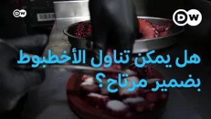 هل يمكن تناول الأخطبوط، المعروف بذكائه.. بضمير مرتاح؟ | يوروماكس