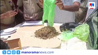 പാലായിൽ പരിശോധനയ്ക്കിടെ പൊലീസുകാരനെ കാറിടിച്ചു ​| Kottayam