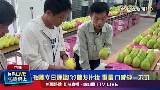 Ruishui Pomelo Competition! 32 Farmers Compete: Weight and Taste Are Both Essential