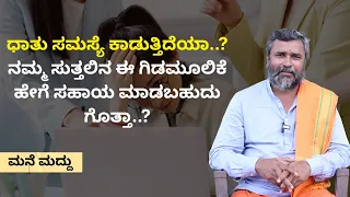 ಧಾತು ಸಮಸ್ಯೆ ಕಾಡುತ್ತಿದೆಯಾ..? ನಮ್ಮ ಸುತ್ತಲಿನ ಈ ಗಿಡಮೂಲಿಕೆ ಹೇಗೆ ಸಹಾಯ ಮಾಡಬಹುದು ಗೊತ್ತಾ..? MANE MADDU