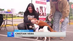 EXPOMASCOTAS 2026 - Las mascotas se tomaron VIVO Outlet | Canal 1 - El Canal de Ñuble