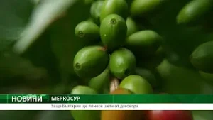 МЕРКОСУР: Защо България ще понесе щети от договора