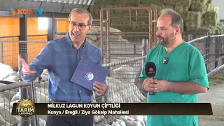 Agriculture Academy Episode 3 July 22, 2026 Milkuz Lagun Sheep Farm