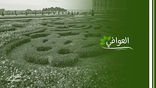 أشجار الزيزفون والـTaxus Baccata في فرنسا...  كيف يتم الاعتناء بها؟